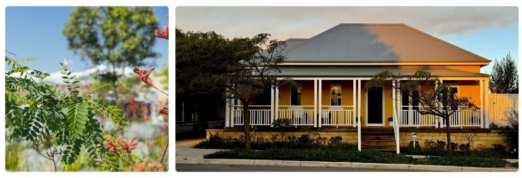 Tree-lined streets within a walkable coastal community in Perth
