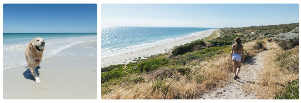 Residents enjoying walkable coastal living in Perth at Jindee
