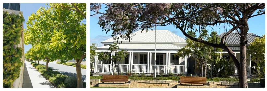 Tree-lined walkable streets and coastal homes at Jindee, showcasing integrated streetscape design, verandah-fronted architecture and pedestrian-friendly public spaces.