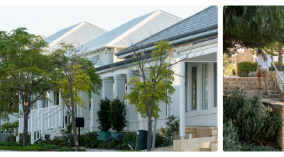 Tree-lined street of rear laneway homes with verandahs at Jindee coastal estate