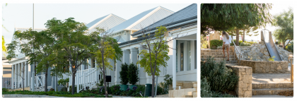 Tree-lined street of rear laneway homes with verandahs at Jindee coastal estate