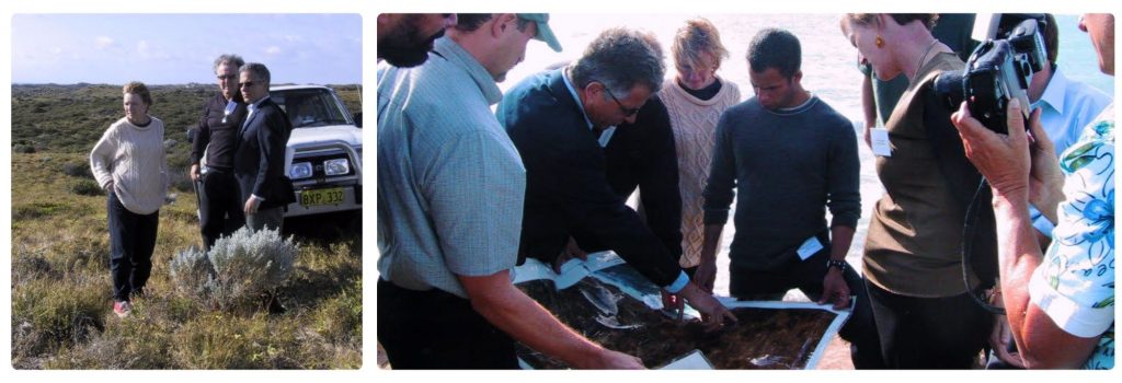Urban planners and designers, including Fiona Roche and Ludwig Fontalvo-Abello, reviewing the future Jindee coastal site during the original 2002 Jindee planning charrette in Perth, Western Australia.