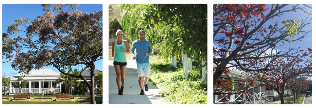 Tree-lined pedestrian pathway through Jindee Coastal Village