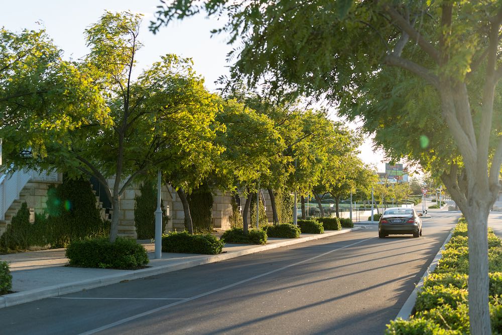 jindee leafy green shady streets jindalee land for sale