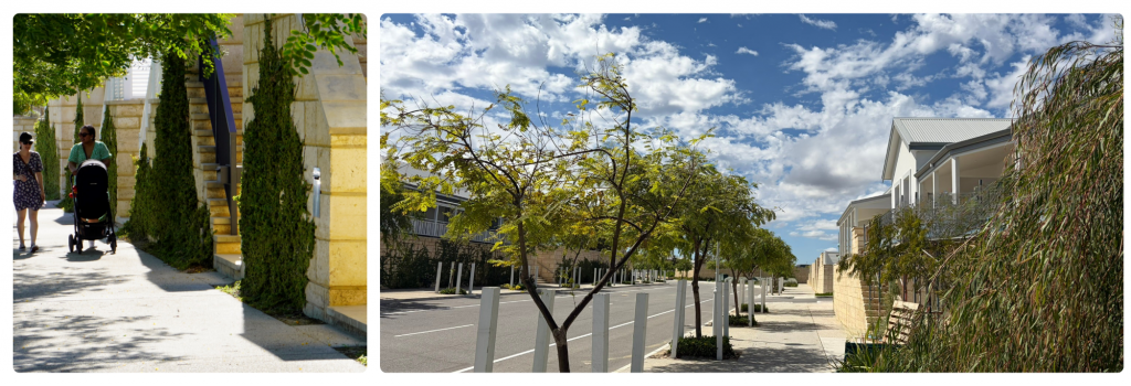 Leafy streetscapes and meandering pathways all lead to foreshore